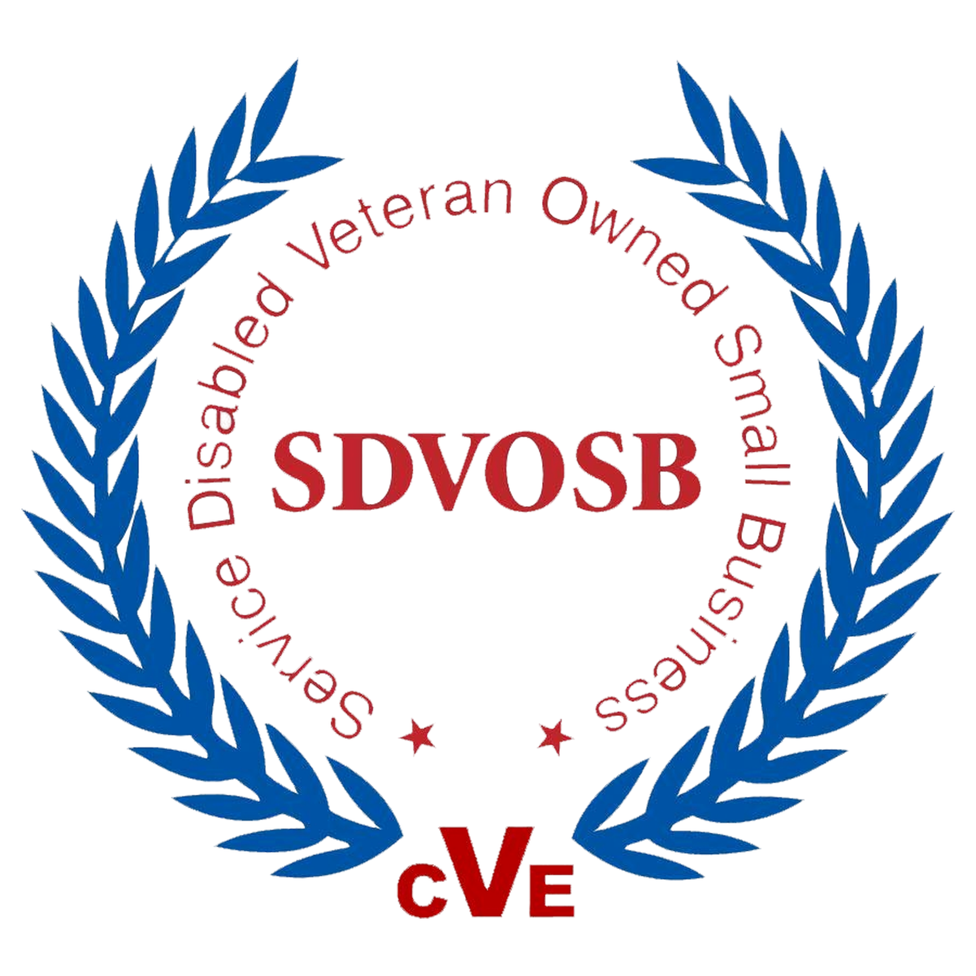 Service-Disabled Veteran-Owned Small Business